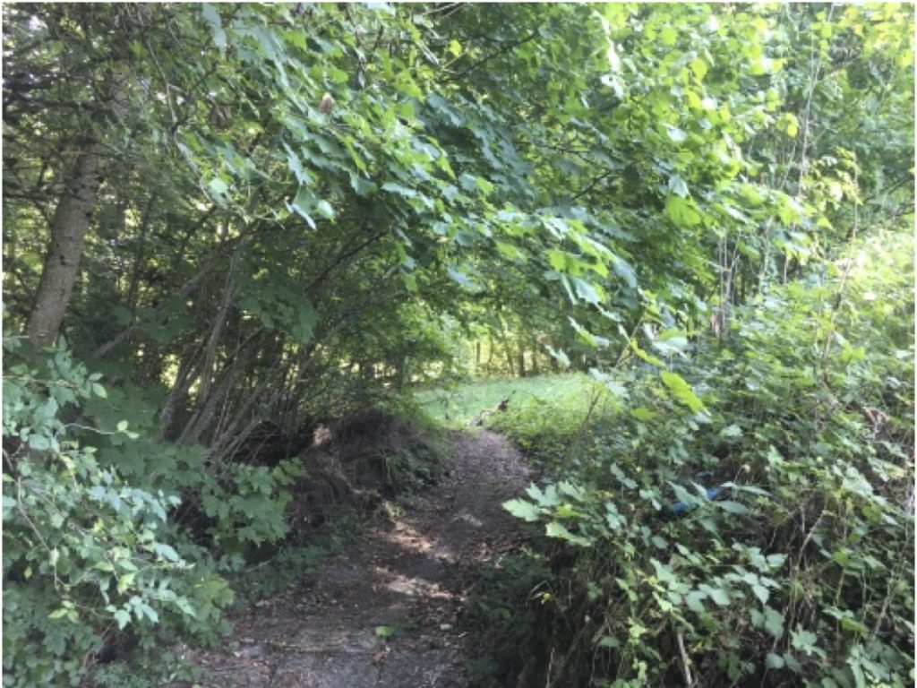 Image place pic-nic location-maison-vacances-piscine-10-personne