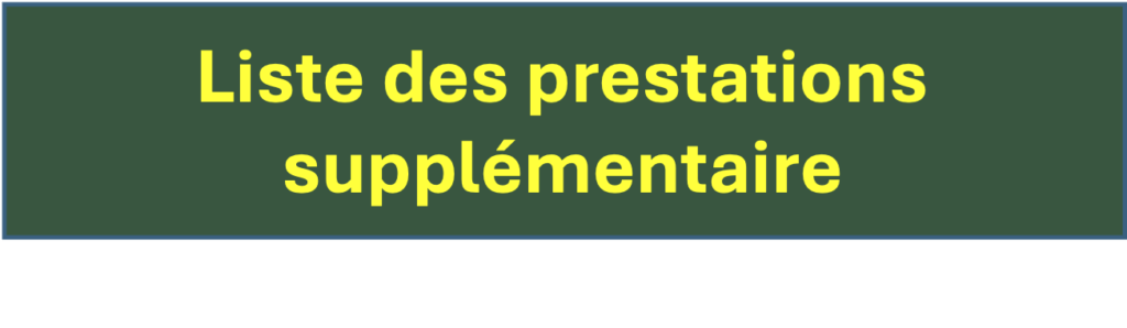 titre qui décrit les informations liste des prestations supplémentaires lors de la location maison vacances