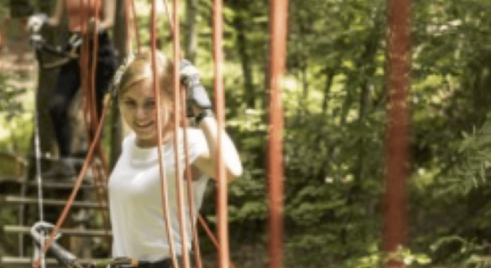 accrobranche  loisir résidence les Papaillons Gruyere Fribourg Suisse