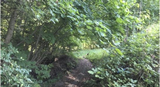 Image place pic-nic location-maison-vacances-piscine-10-personne