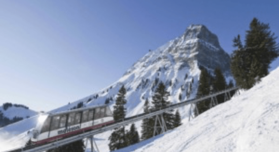 Ski sport résidence les Papaillons Gruyere Fribourg Suisse