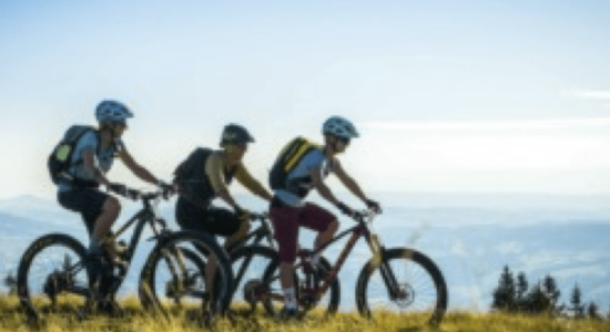 VTT sport résidences les Papaillons Gruyere Fribourg Suisse