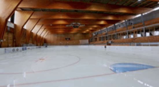 patinoire  sport résidence les Papaillons Gruyere Fribourg Suisse